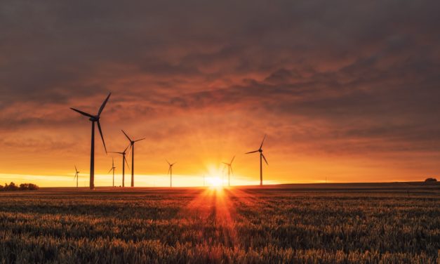 Get involved in environmental responsibility