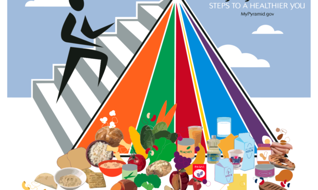 Households can discover balanced vitamin with MyPyramid