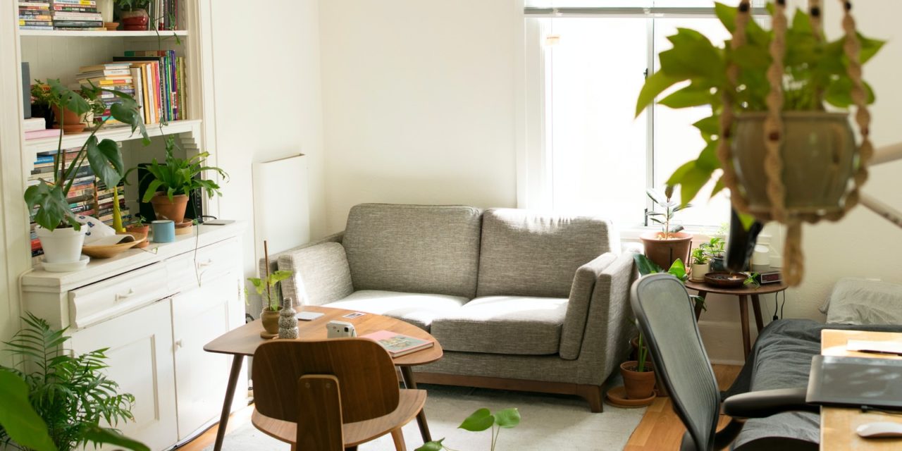 Take a break from Home Improvement and Chores