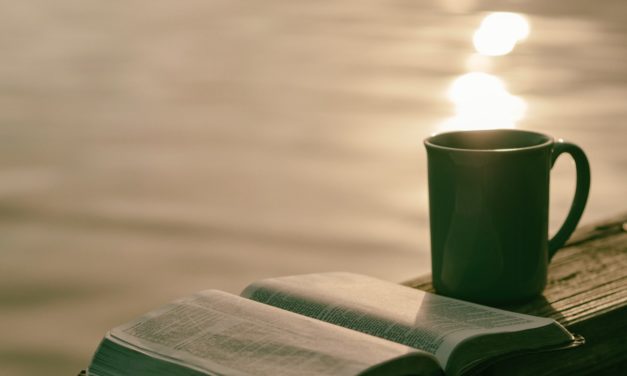 Publication of a book can help you promote your cause