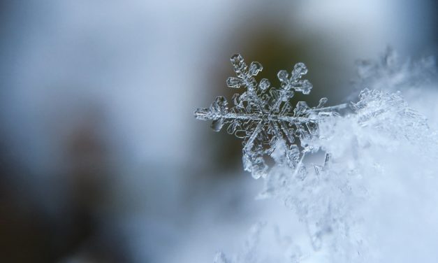 Are You Prepared for Winter Storms?