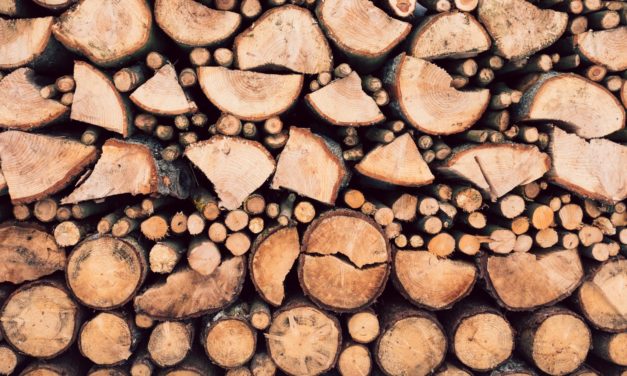 Cedar Log Homes provide many benefits