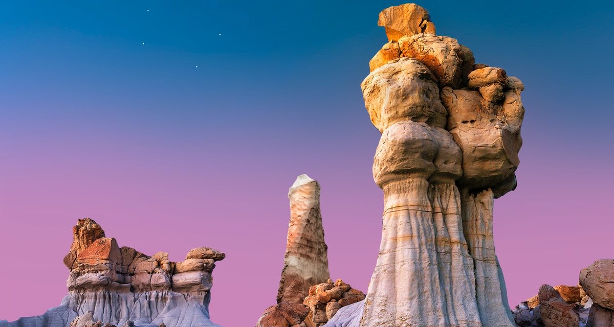 New Mexico, let’s hold it native