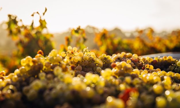 It’s possible to be surprised by what you find in your wine