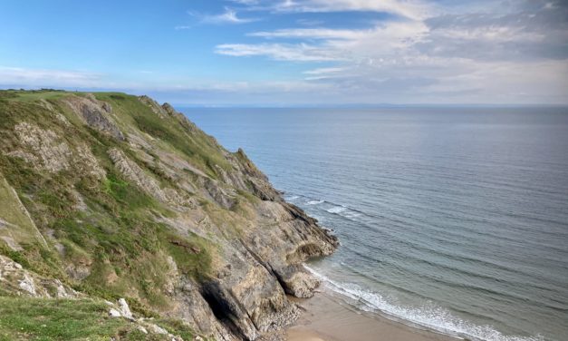 Three Surprising Facts You Did Not Know About Chiropractors