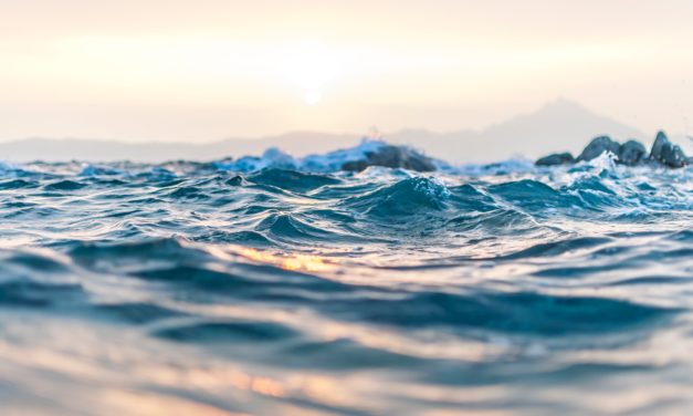 A new healthy, eco-friendly alternative to bottled water