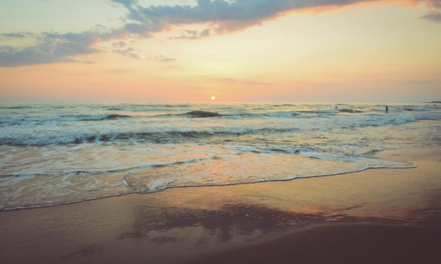 South Beach: A Tropical Place Close to Home