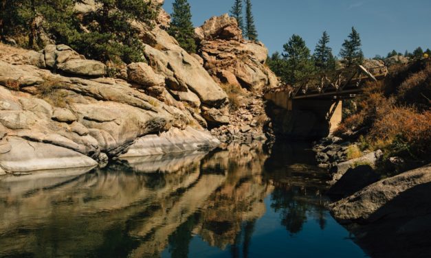 7-Eleven Helps Drivers Reduce Their Carbon Impact