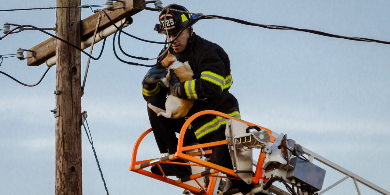 Volunteer firefighting is a good way for vets to make a distinction