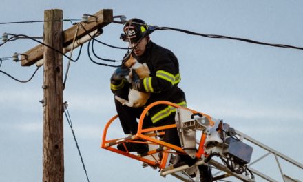 Volunteer firefighting is a good way for vets to make a distinction