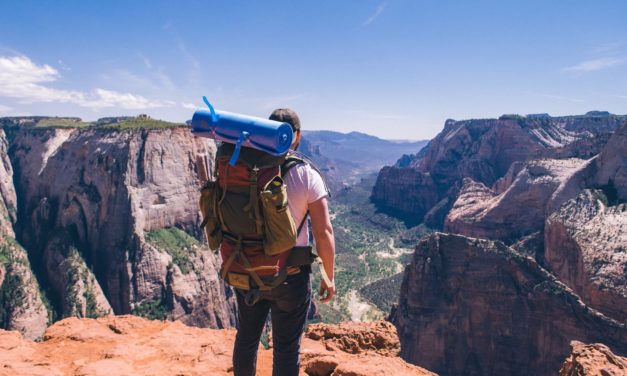 Bota Box Wines Help Save National Forests