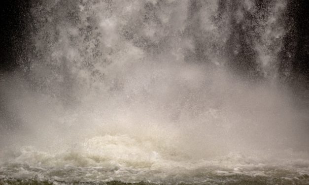 Popularity of ETFs Rising in Millennials