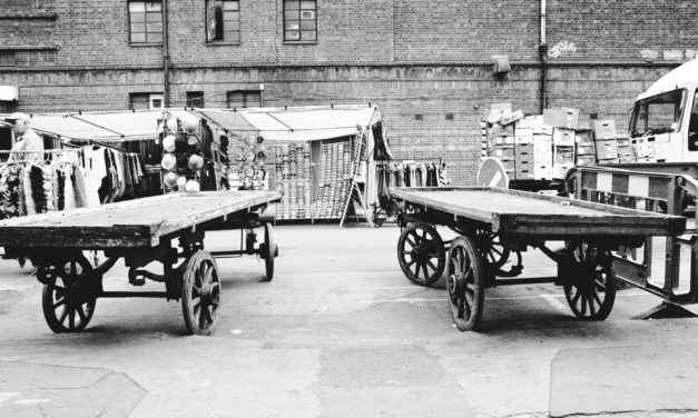 Camden Preserve Provides Opportunities for Developers