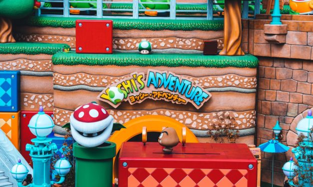 Seeing the World and Saving the Planet