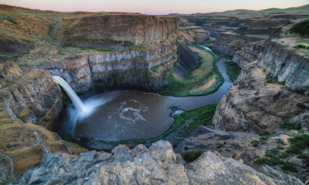 Free Online Survey Alerts Older adults to the Risks of Falls, a Major Hazard