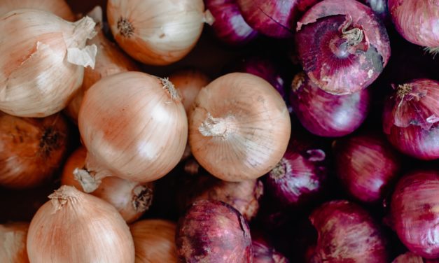 Winter Recipes: Say Hello to Onions