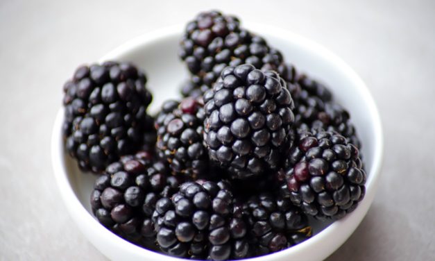 Can a Berry a Day Keeps Cancer Away?