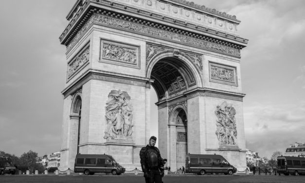 Ayudar a los Duenos de Mascotas y a los Animales a Convertirse en Verdes