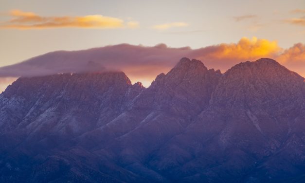 Four Questions to Ask Before the Dec. 7 Medicare Deadline