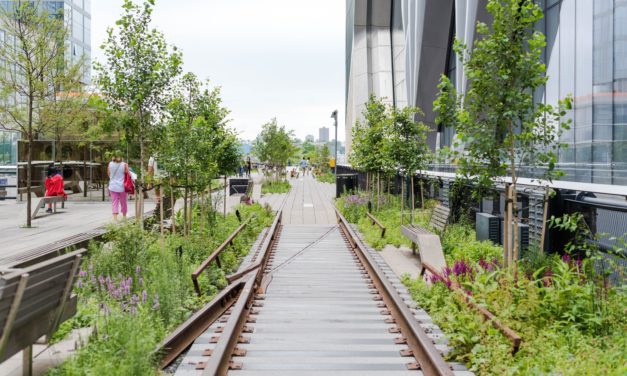 Have you ever been worried about immigration? Better stand in line