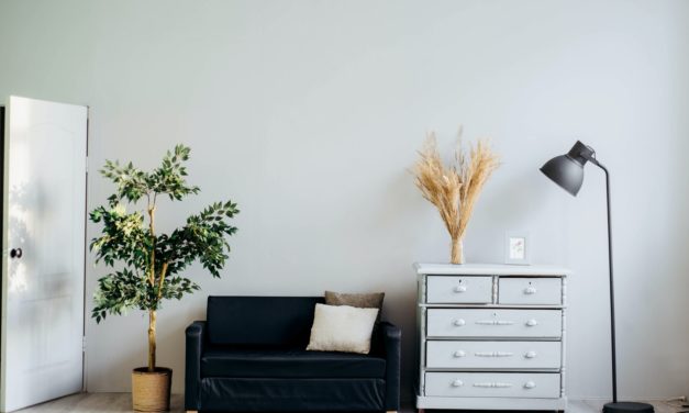 Real Entertainment: Home Projects