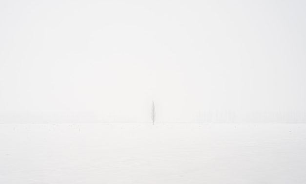 Limited Edition Beetle Features Drivers Seeing White