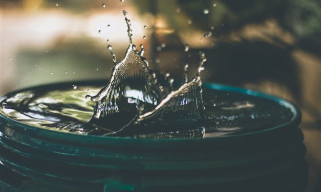 Summer Tips for Water-Savvy
