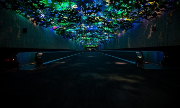7 Ways to Increase Energy Efficiency via Lighting