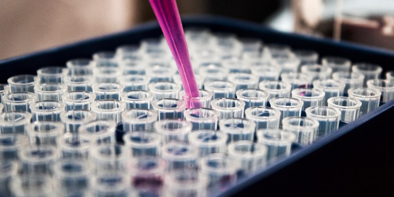 The possibilities of adult stem cell research are growing