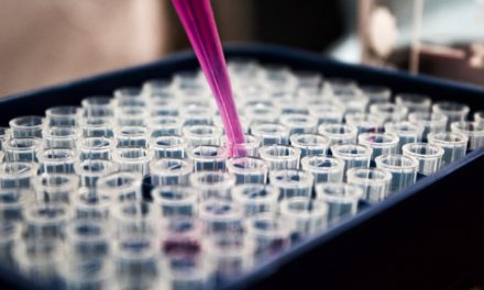 The possibilities of adult stem cell research are growing