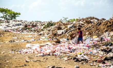 Is Your Garbage Ready to be Recycled