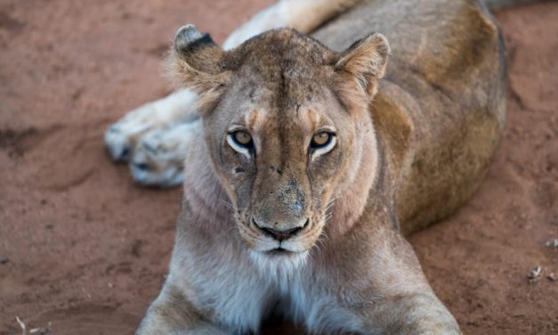 Go Tankless to Get ahead of the Game