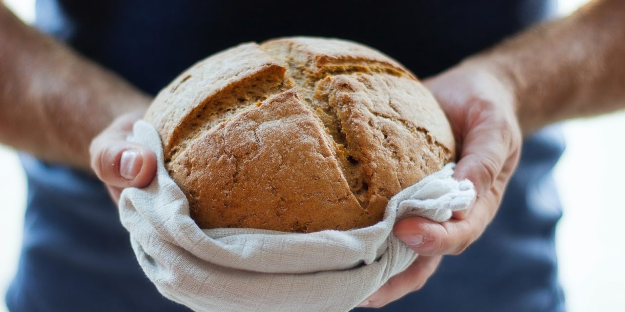 Sow seeds to bake tomorrow’s bread