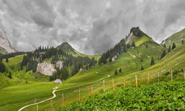 The Search for Eco-Friendly Solutions pays Off