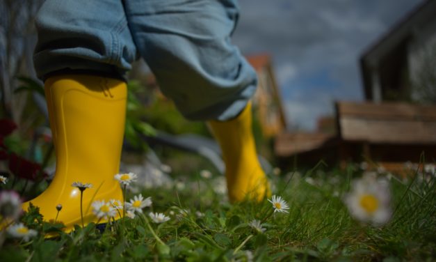 Wellies: All-purpose work boots stay in style