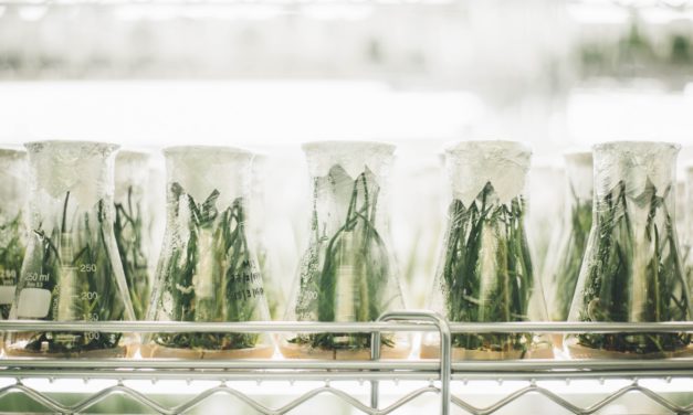 $7 Million Grants for Teaching Math and Science