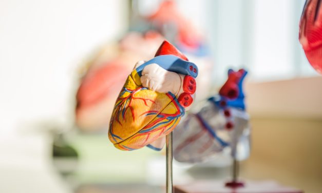 Medical Device Protects Doctors and Nurses From Pathogens in Patient Fluids