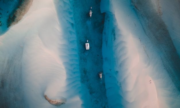 BookBites: Suspense and Drama for Humans, as well as a Guide to Finding The Right Guy