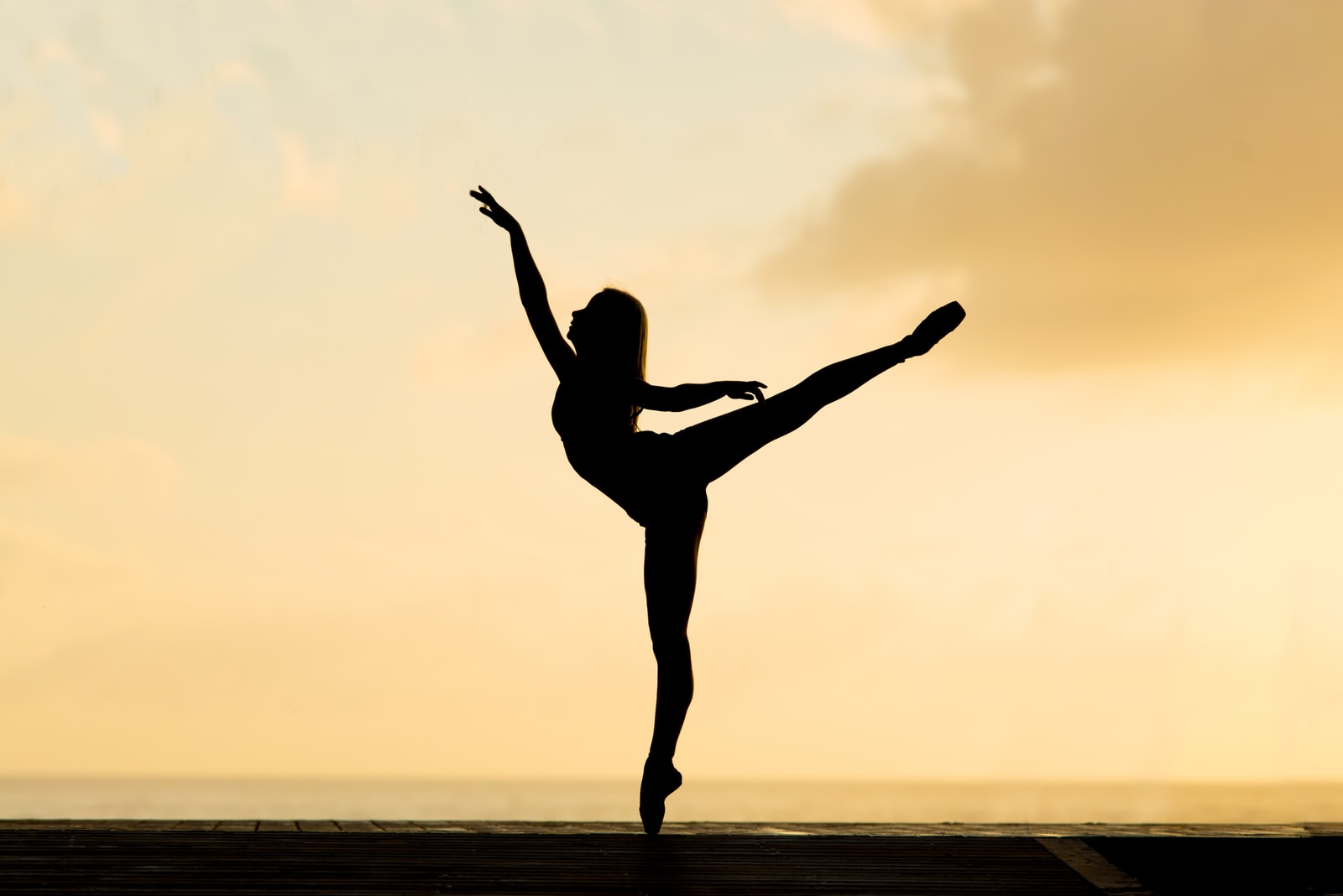 Shen Yun Dancer: What it Takes
