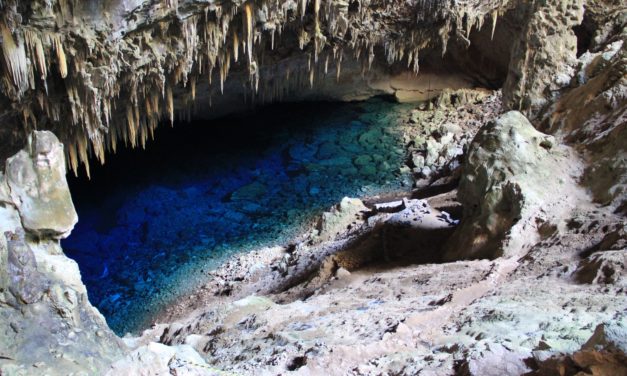 It’s not easy to be bad at what you do. Hip-Hop is a fan of its bad boys