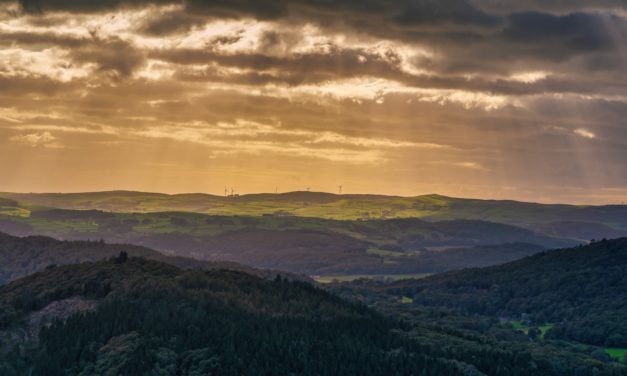 This is How Serious The Opioid Crisis Has Become