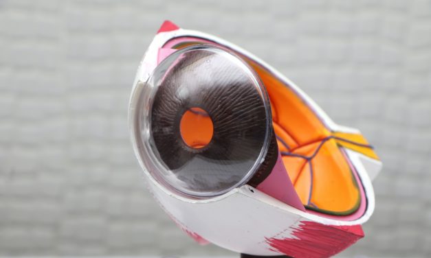 IRIS offers alerts to schools and businesses